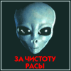 Вождь